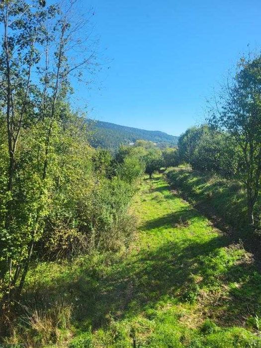 Domek na wynajem