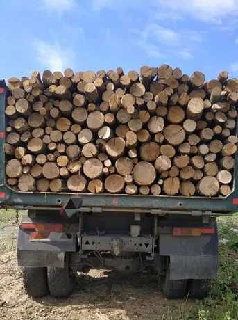 Продаємо дрова дубові колоті кругляк, чурки метрівки Обухів Київ обл.