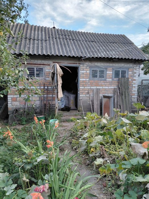 Продам будинок в Боровій