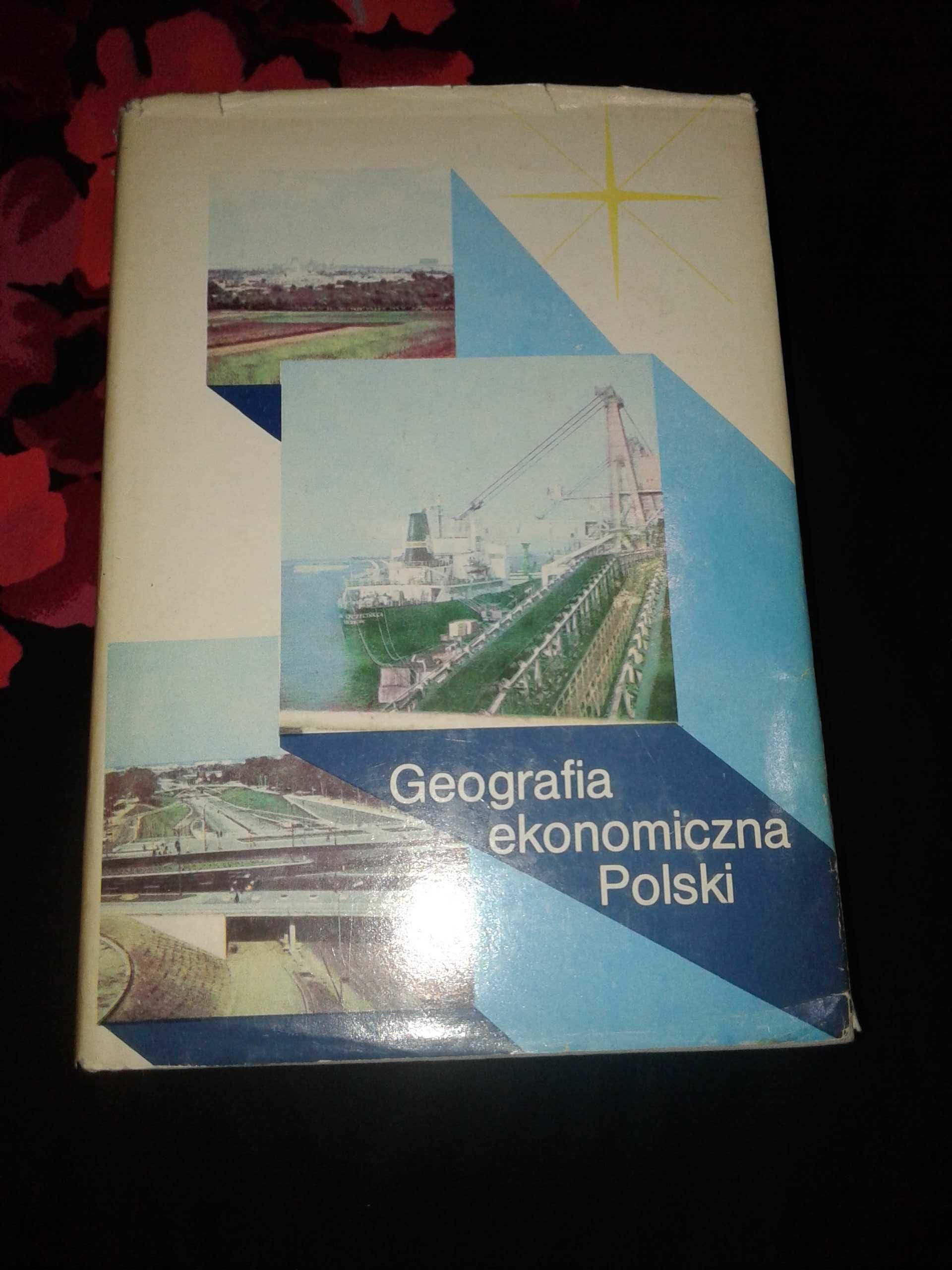 Geografia ekonomiczna Polski - Stanisław Berezowski