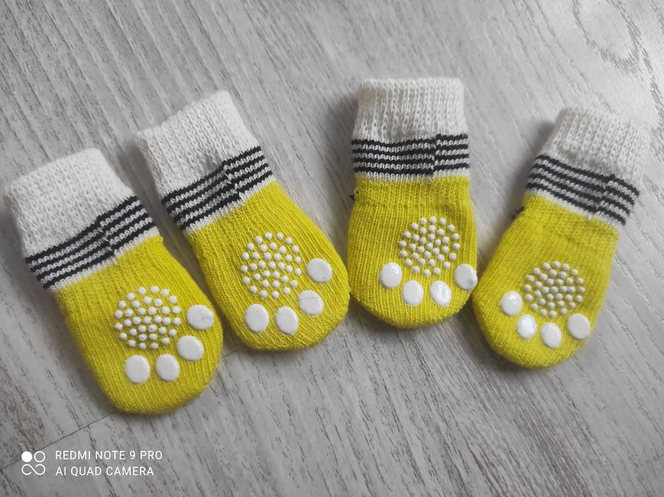 Яскраві носочки  собачці або котику.