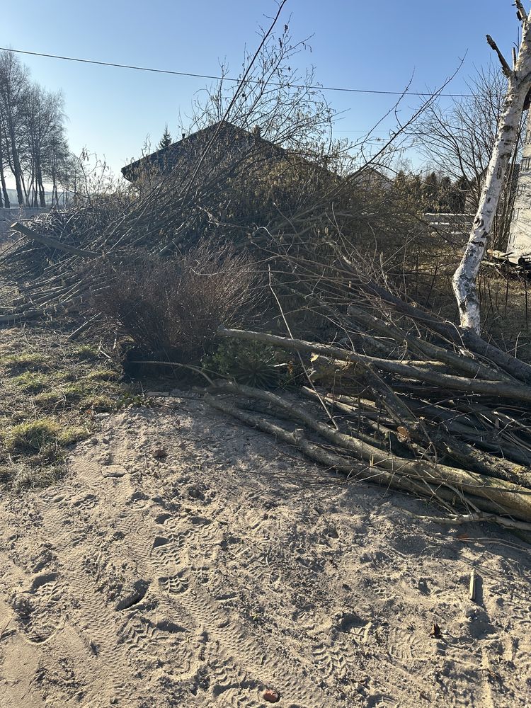 Oddam Gałęzie za Darmo
