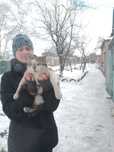 Новожаново, найден кот