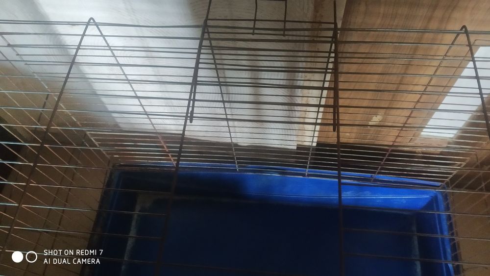 Klatka dla szynszyla,fretki