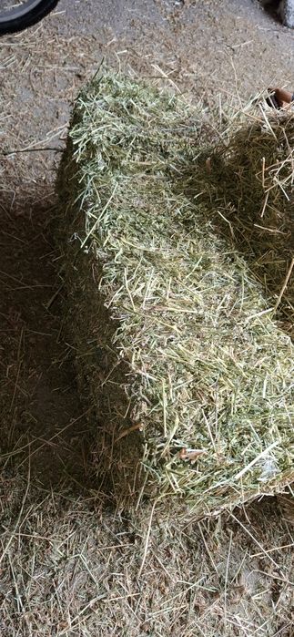 Солома вівсяна пшенична, сіно люцерна