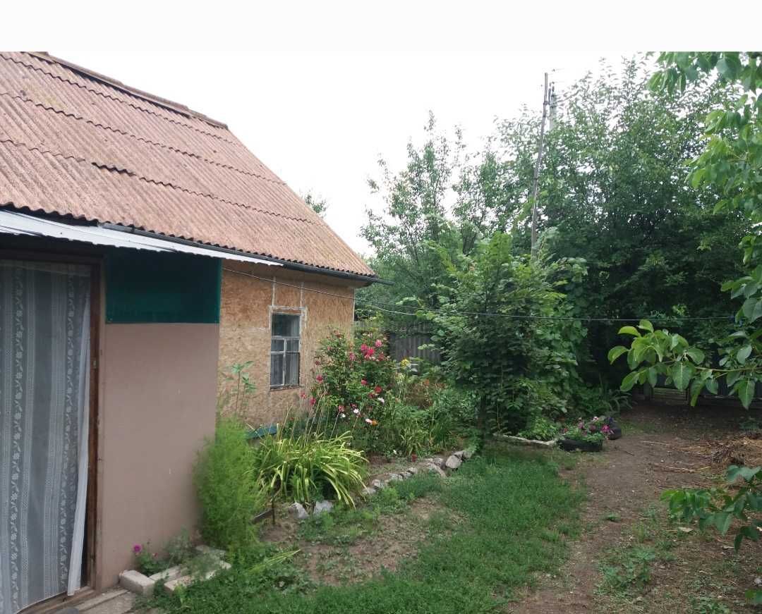 Будинок (дом), ділянка (участок)