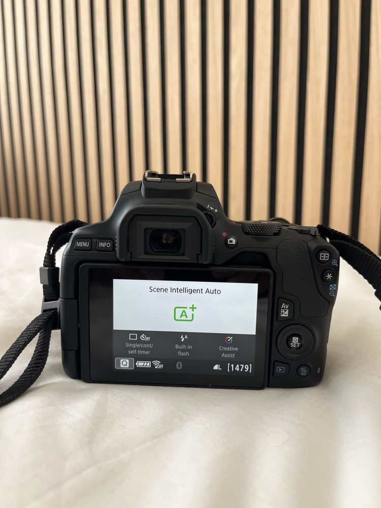 Camera Canon EOS 250D