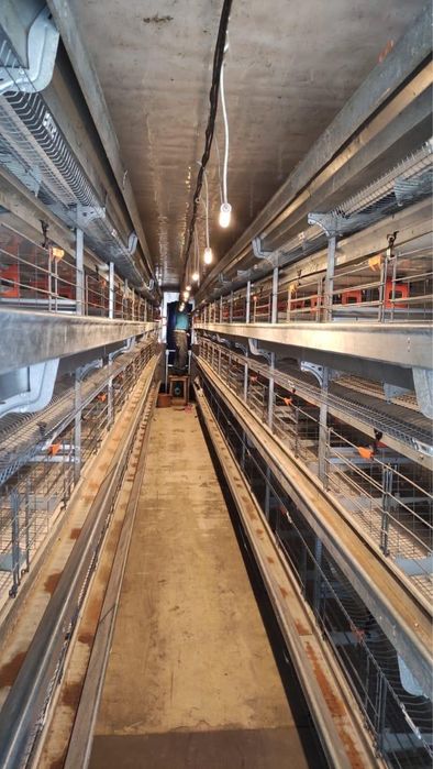 Мобільний пташник Курник Яйце Готовий бізнес