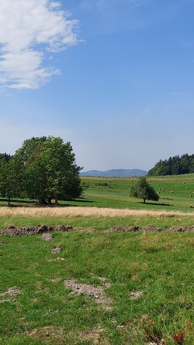 Działka blisko Karpacza, tylko 30 minut od zalewu Bukówka