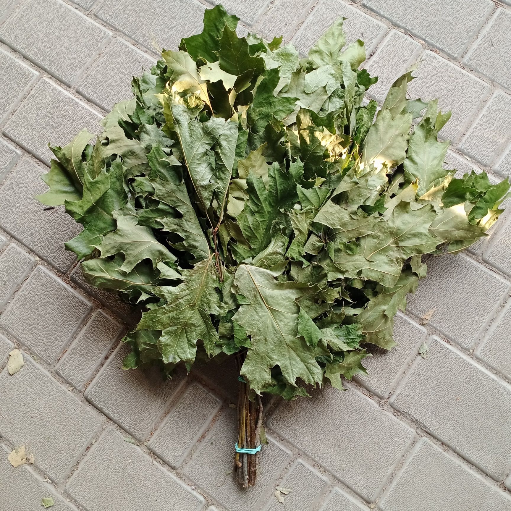 Віники для бані березові