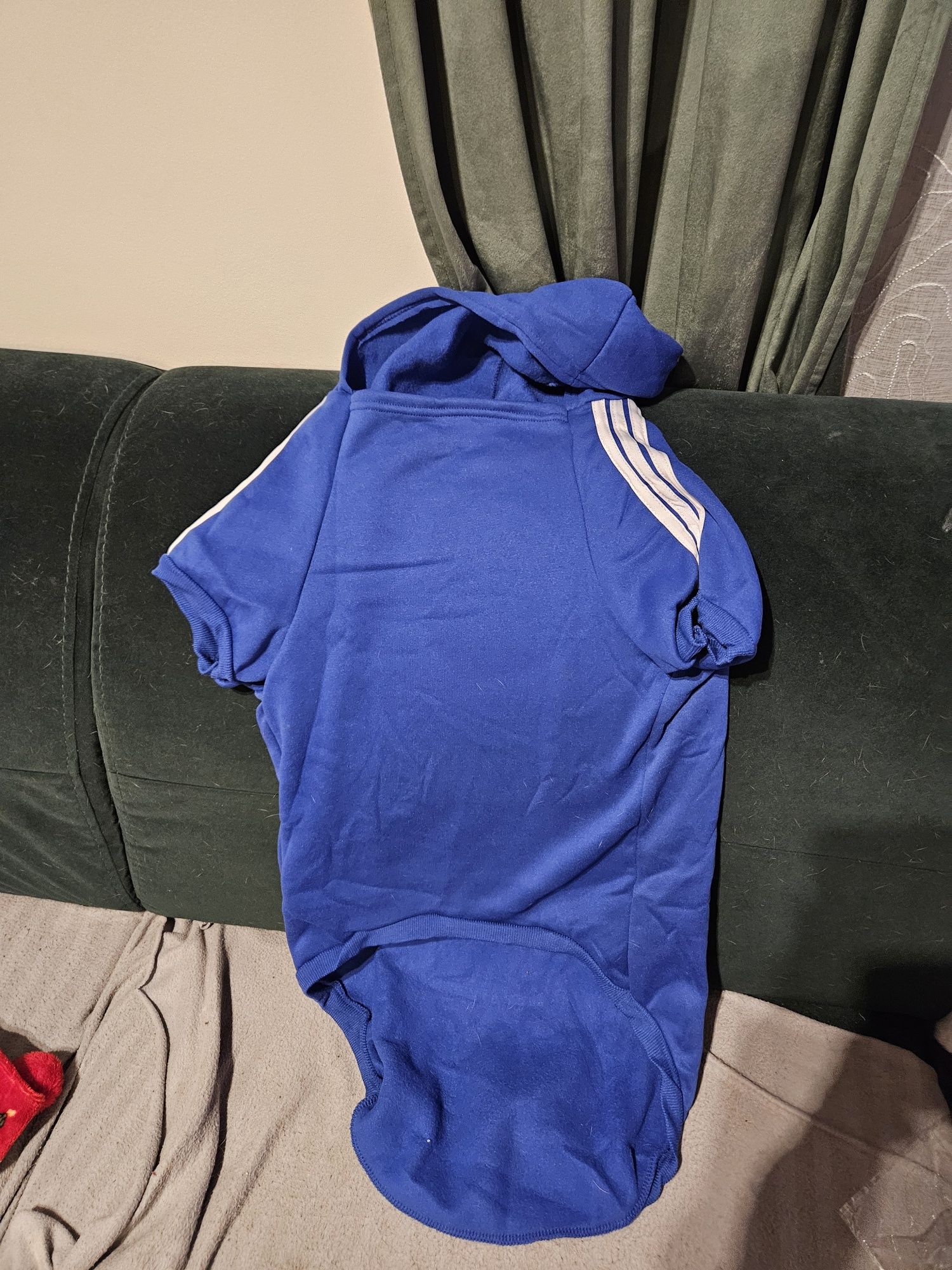Bluza adidog dla dużego psa 9XL