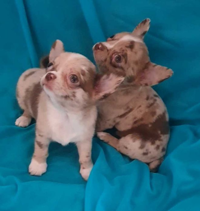 Мармурове диво. Хлопчик.