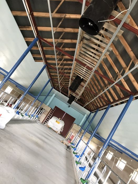 Stanowisko dla krowy byka jałowizny przegroda wygroda bramka drabina