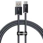 Baseus Dynamic Series kabel USB - USB Typ C 100W 1m szary