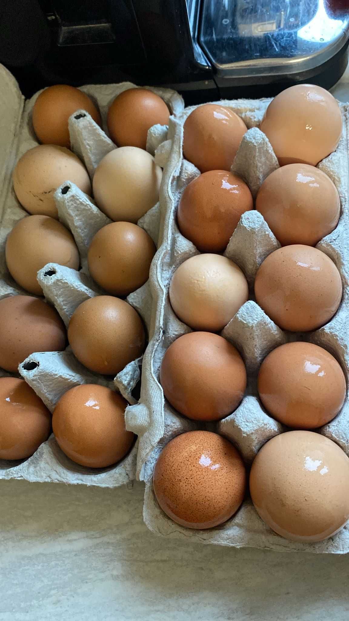 Kurze jaja z wolnego wybiegu