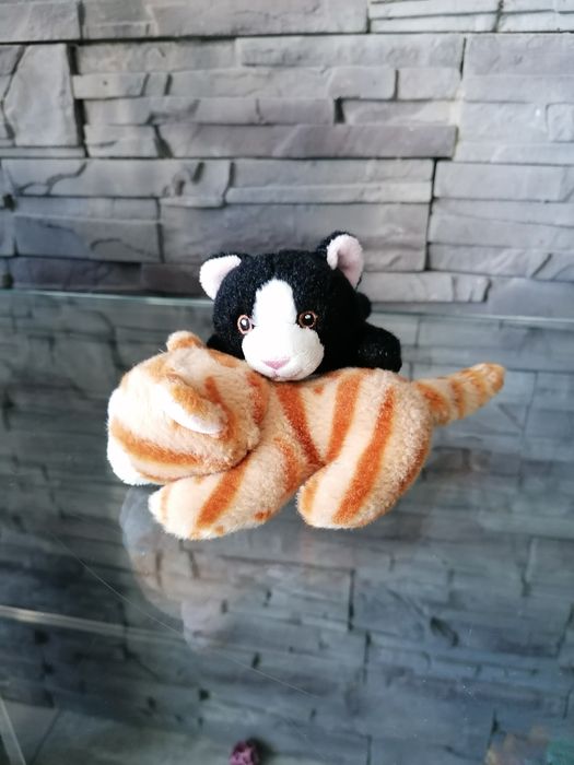 Dwa małe kotki pluszaki