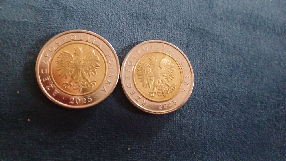 Delikatny destruk 5 zl 2025