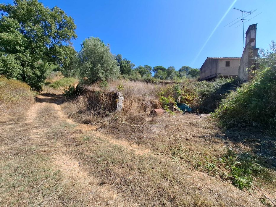 Quinta urbana (520m2) e rustica (26970m2) em Ceras / Tomar