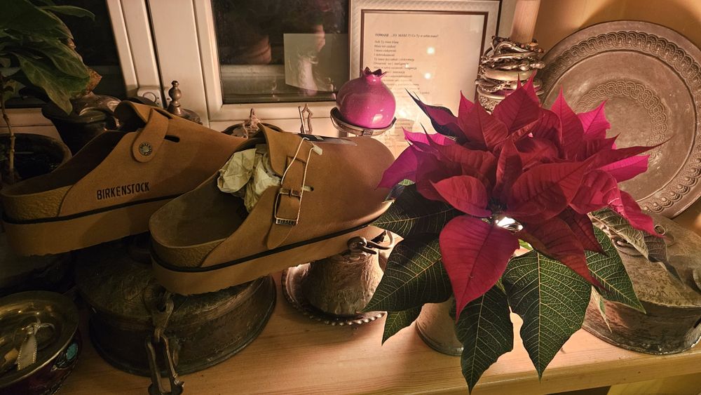 Cudowne pluszowe nowe Birkenstock Boston 40