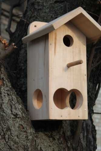 Шпаківні для птахів