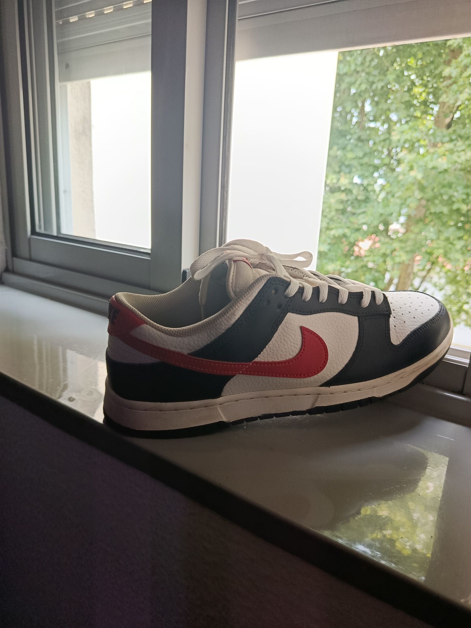Nike Dunks novos