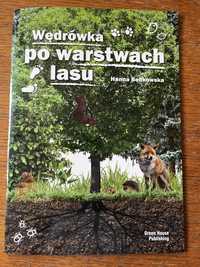 Wędrówka po warstwach lasu