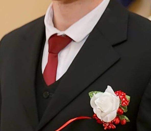 Мужской галстук  Бордовый