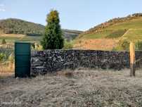 Terreno Região Demarcada do Douro. Com uma área de 32 hectares-Frei...