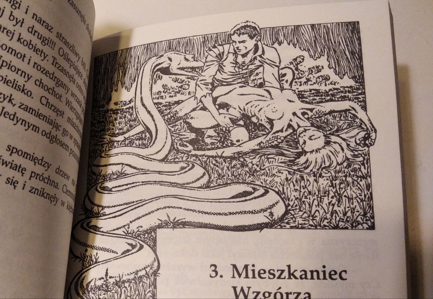 Różanooka Konrad T. Lewandowski Literatura fantazy.