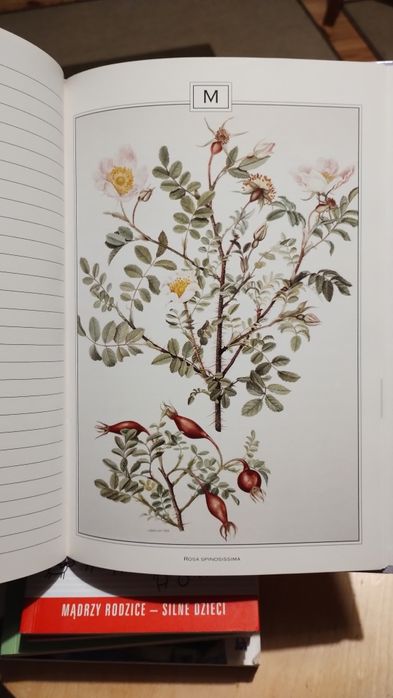 Grafika botaniczna roślinna 24 szt książka adresowa