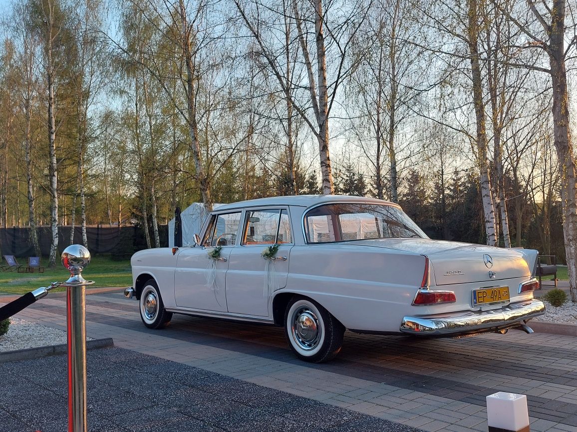 Auto Do Ślubu Zabytkowy Samochód na Wesele Ślub Mercedes Skrzydlak