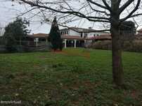 Quintinha com picadeiro em terreno de 2900m2
