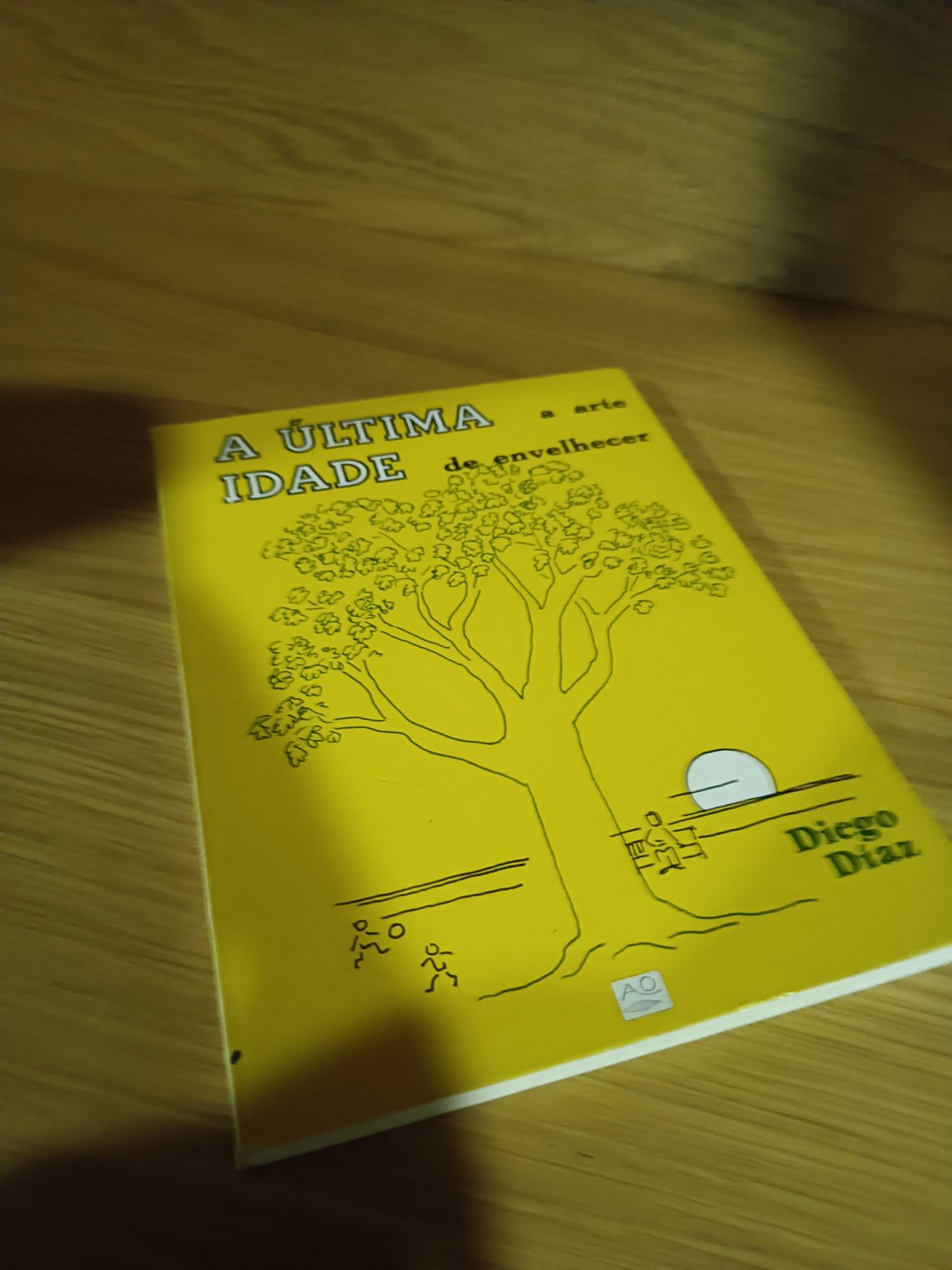 Vendo o Livro: A última idade - a arte de envelhecer
