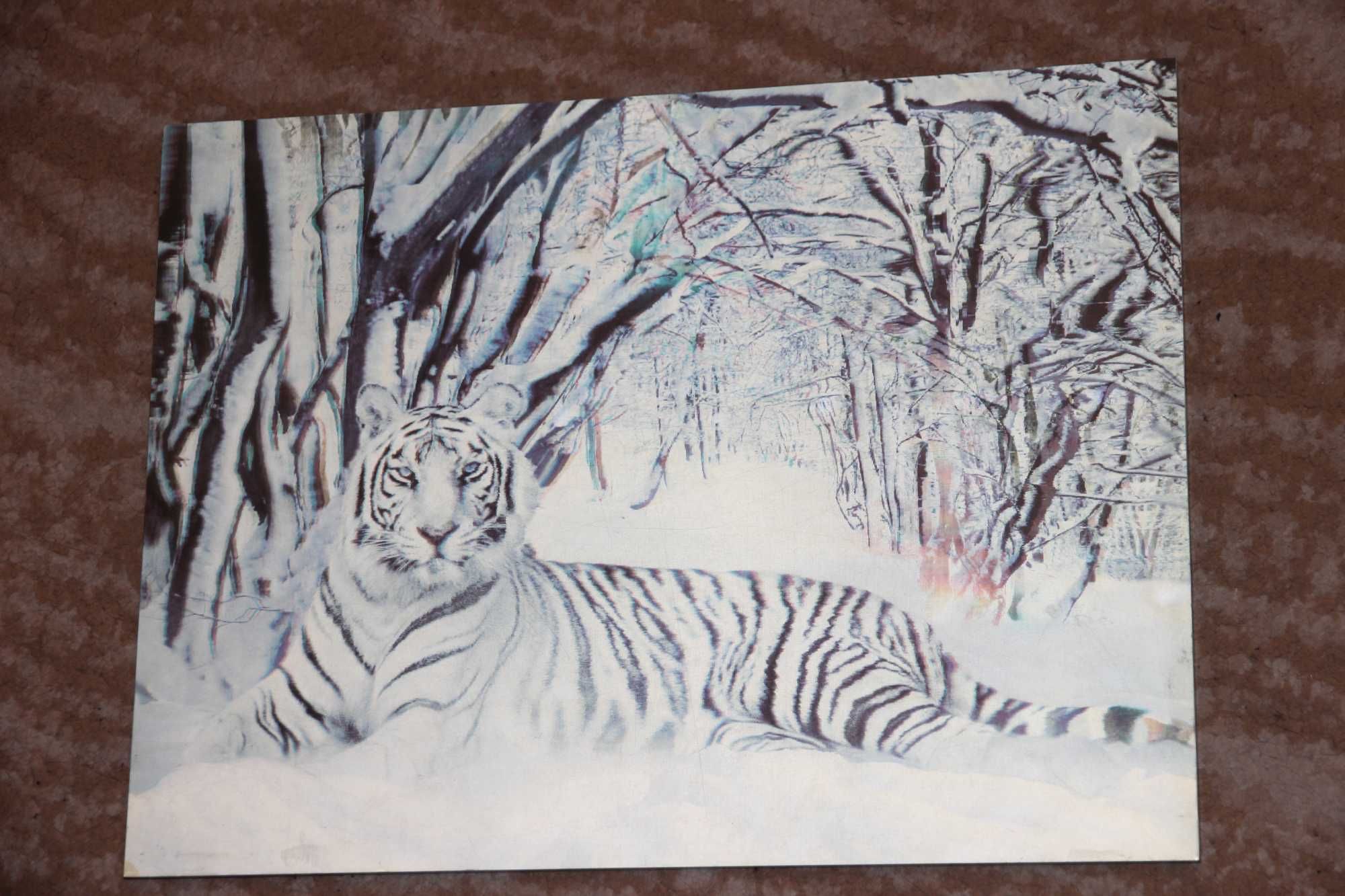 Obraz trójwymiarowy natura zwierzęta 30/40 cm