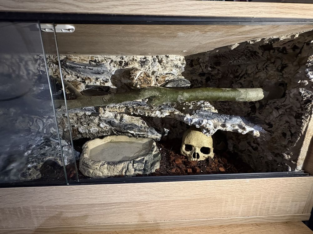 Terrarium terrarium