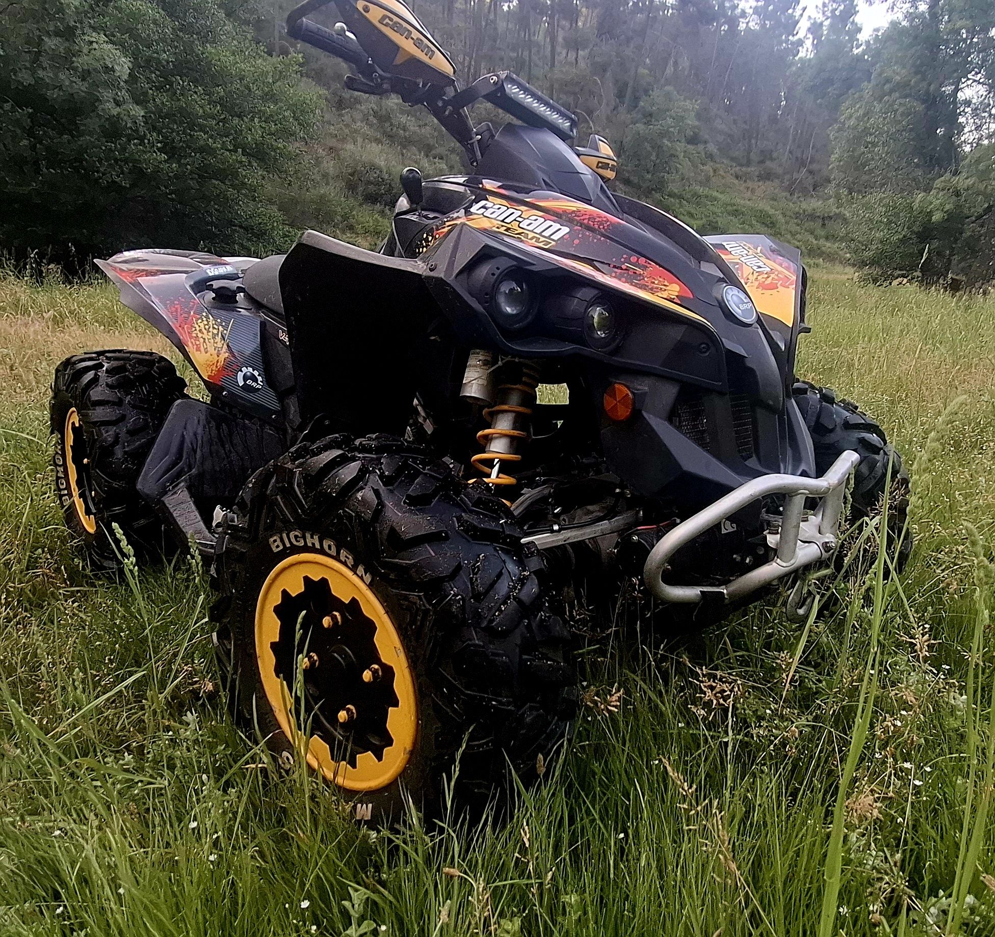 Can am renegade 800x