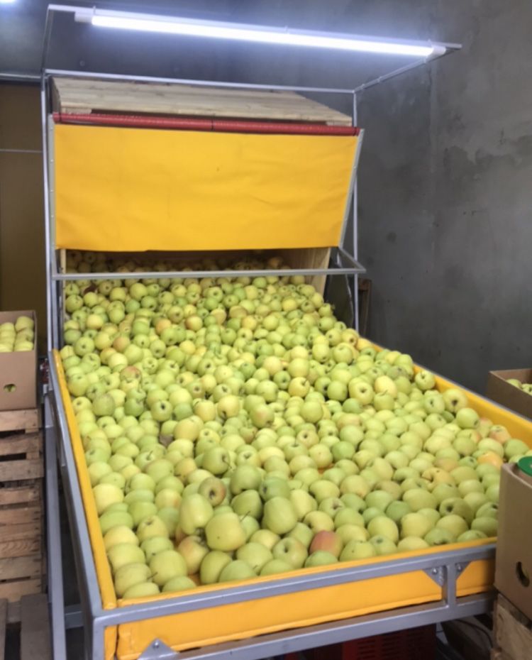 Пакувальний стіл для яблук, перевертач контейнерів