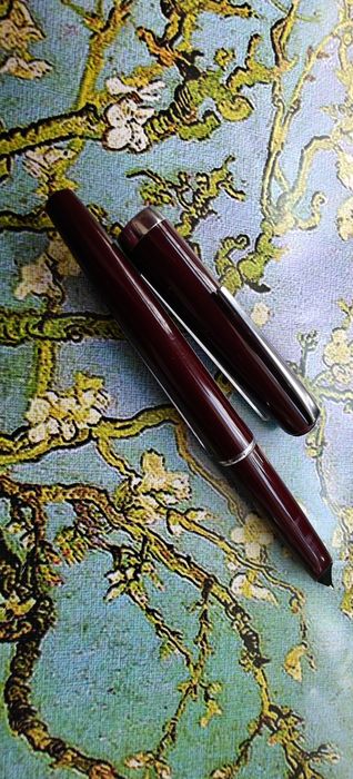 Pióro Wieczne Swan Anglia