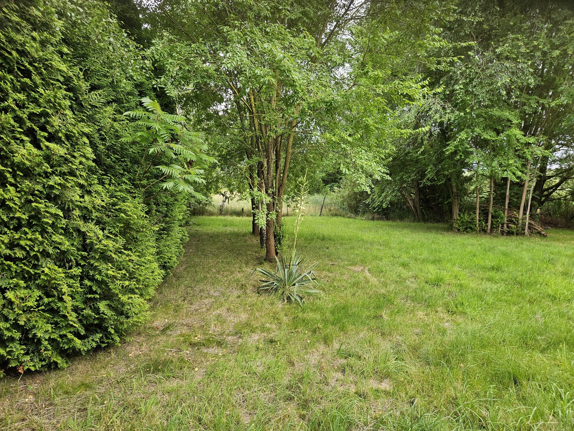 Sprzedam działkę rekreacyjną 666 m² nad Stawem Bukowskim