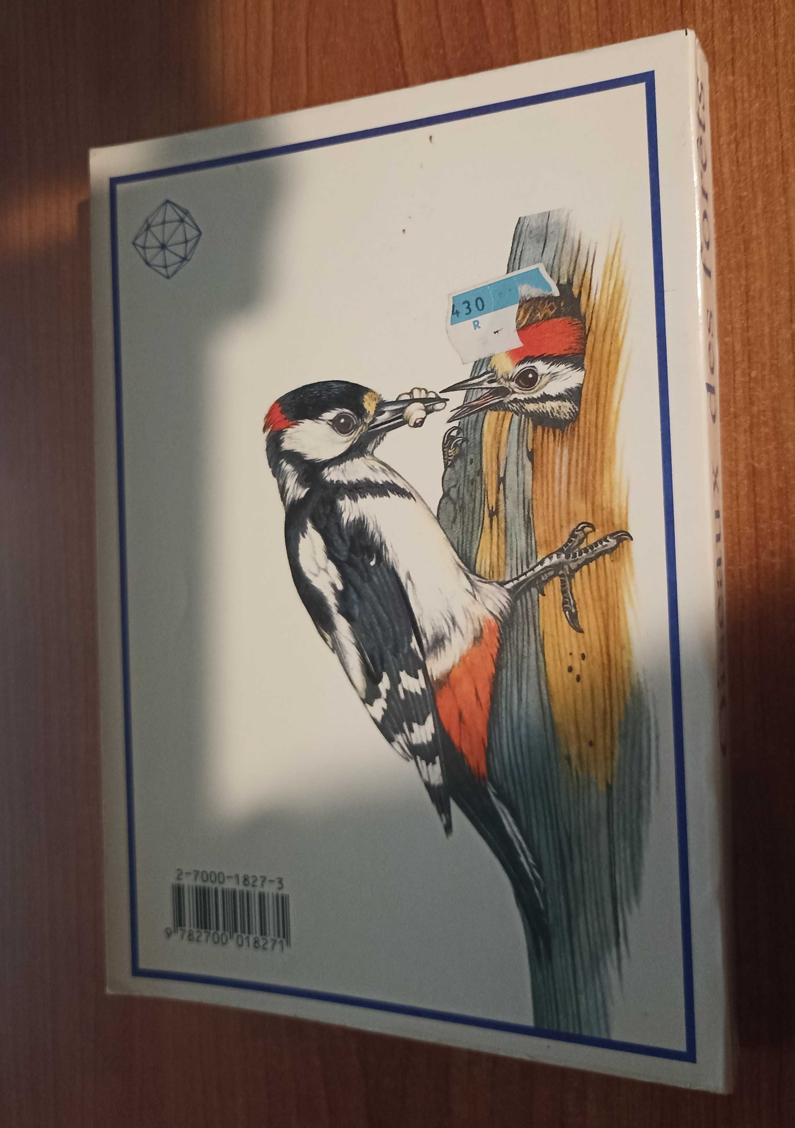 Oiseaux des forêts