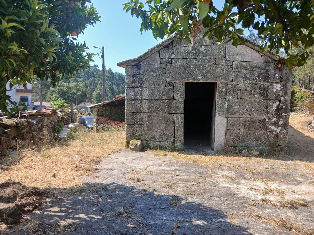 Terreno rural com casa antiga