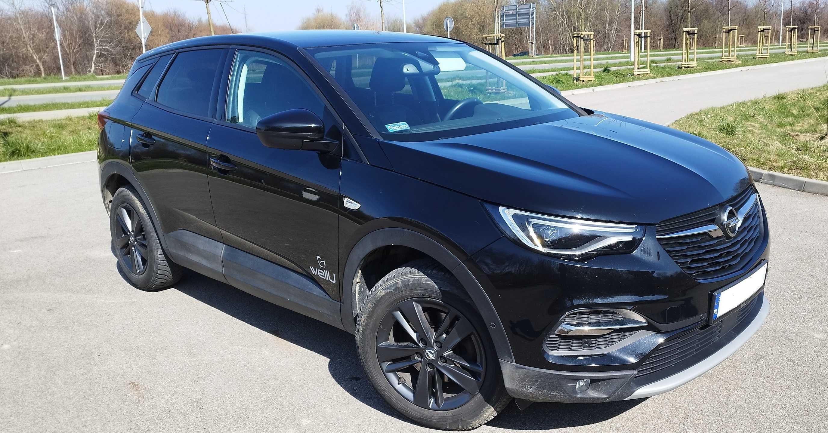 Opel Grandland X Design Line 1,2 Turbo 130 KM AT8, salon Polska, 2021.