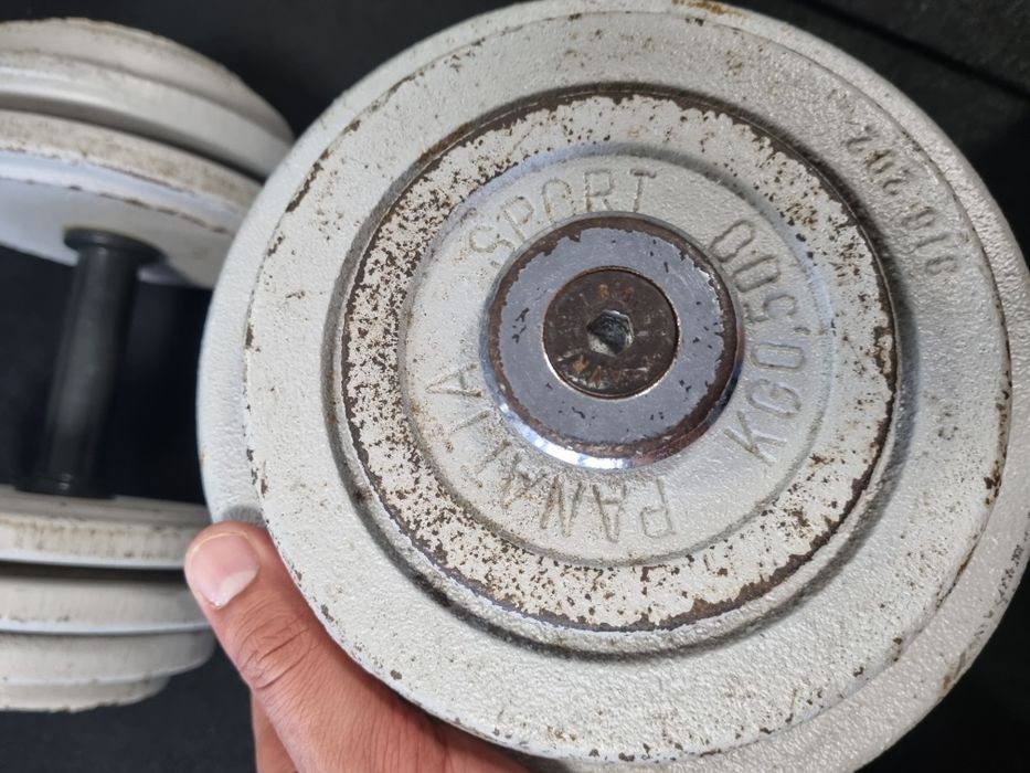 Par Alteres Panatta 26kg