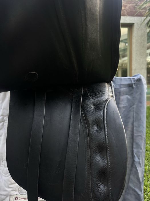 Sela de Ensino Kieffer Wien DL Profissionell 17”/17.5”