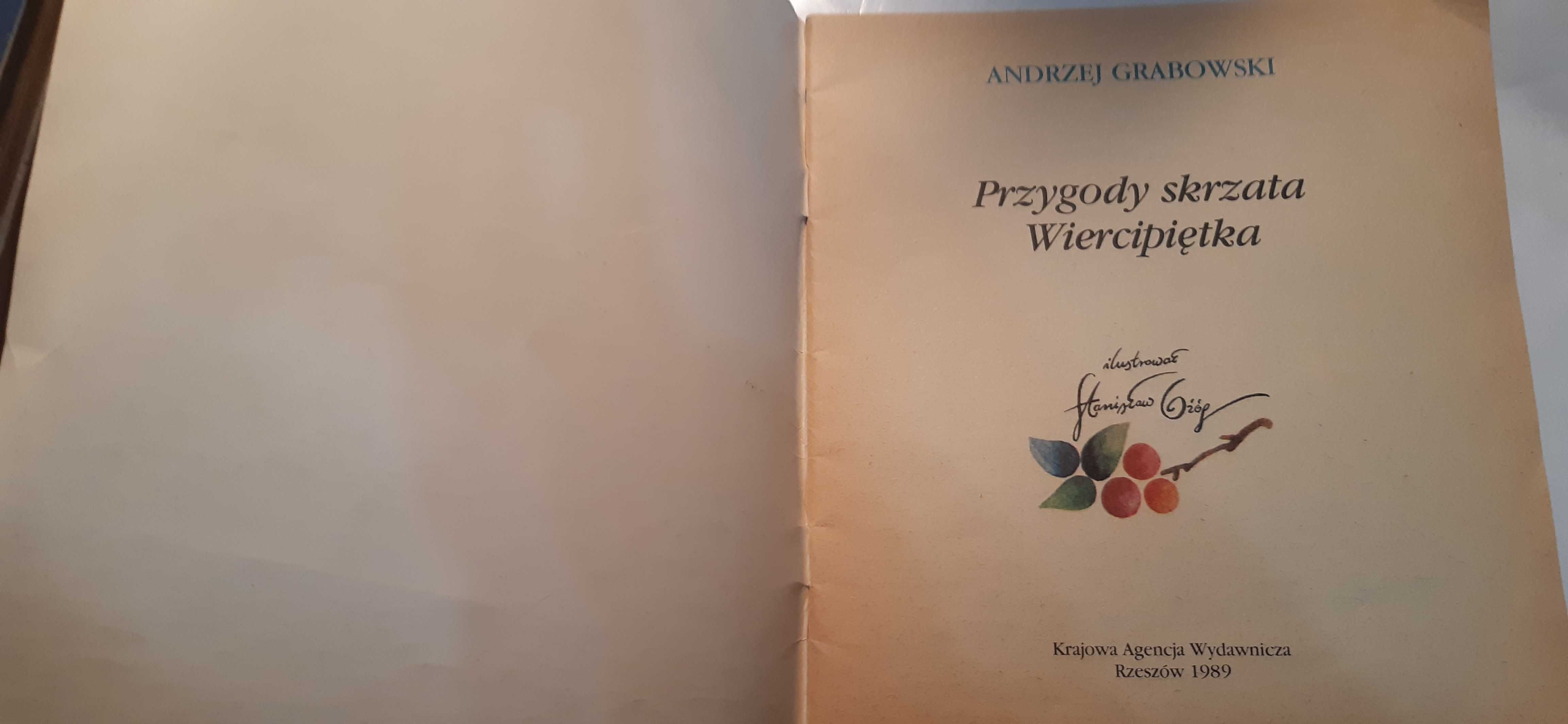Przygody skrzata Wiercipiętka - Andrzej Grabowski