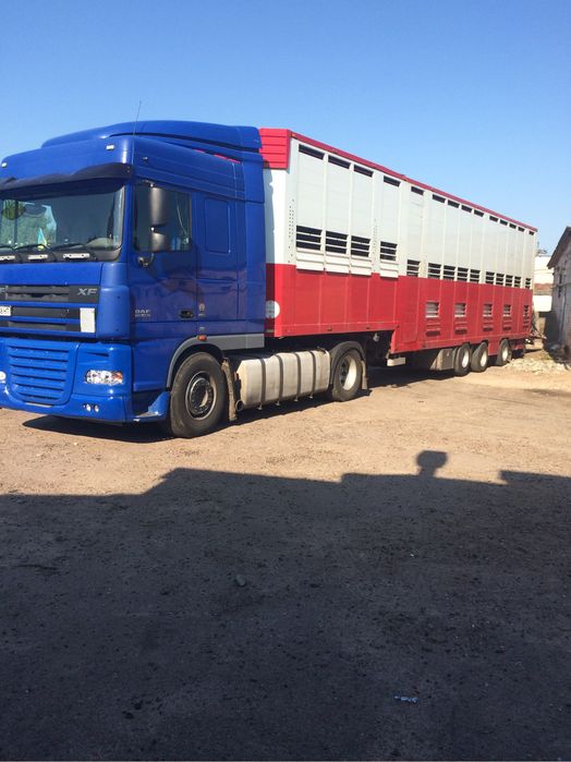 Продам DAF XF 105 , 2007 року з причепом-скотовозом