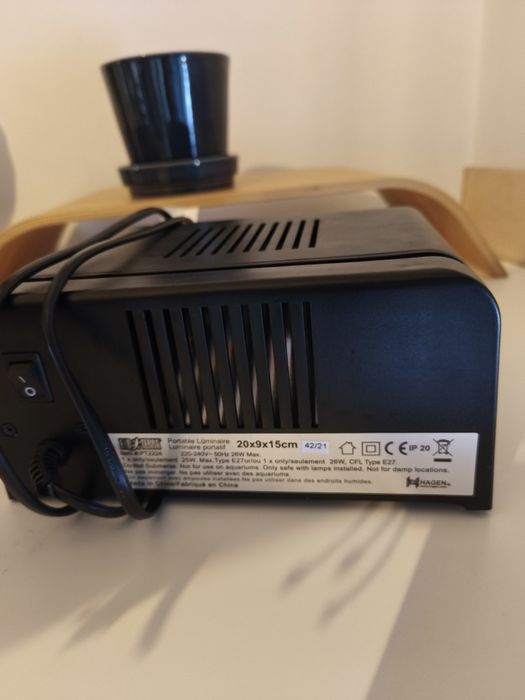 Pack inicial de tartarugas