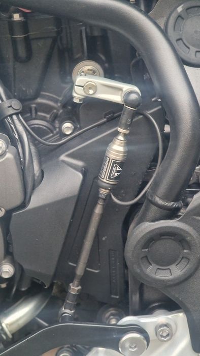 Triumph Tiger Triumph