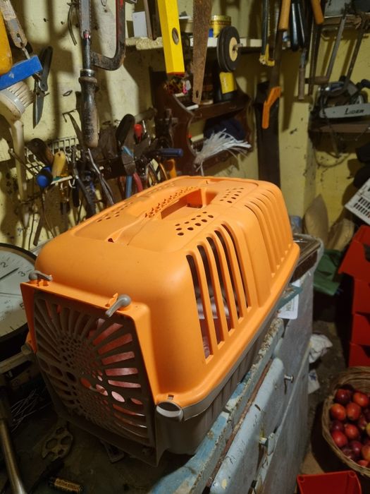 Transporter dla Psa I kota