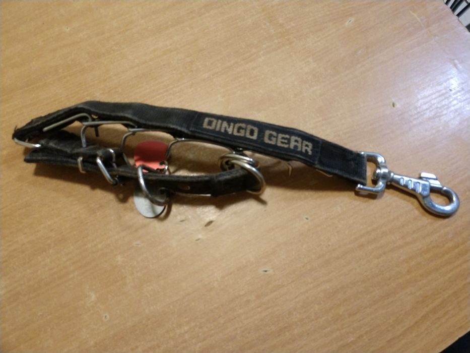 Obroża dla psa kolczatka 56-64 cm Dingo Gear